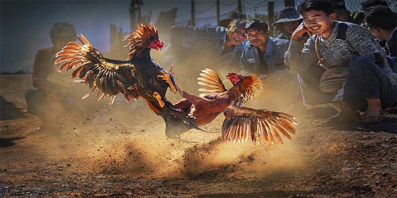 xsmb chơi bắn cá đổi thưởng