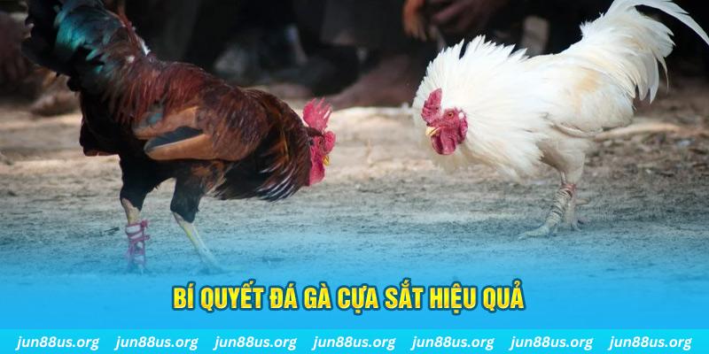 xsmb xin 1 slot là gì