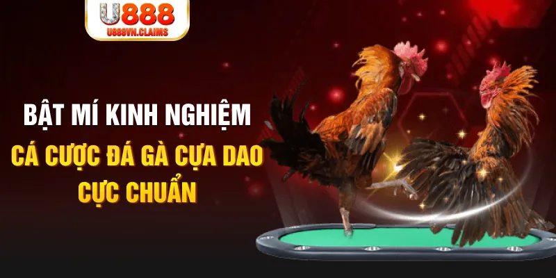 xsmb tỷ lệ cá cược châu á là gì