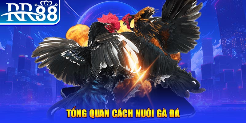 xsmb VA Điện Tử