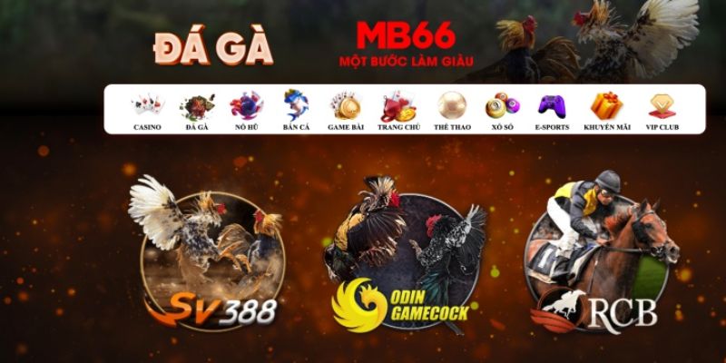 xsmb đăng nhập poker số 1