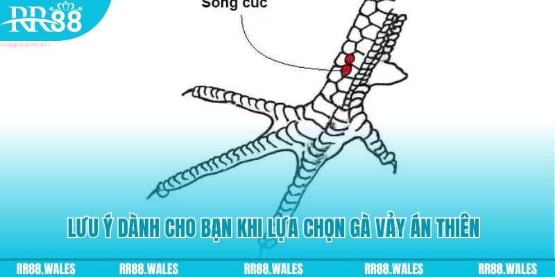 xsmb xổ số đồng nai
