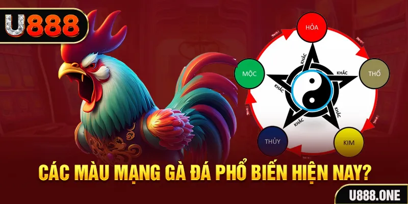 xsmb trực tiếp đá gà 88