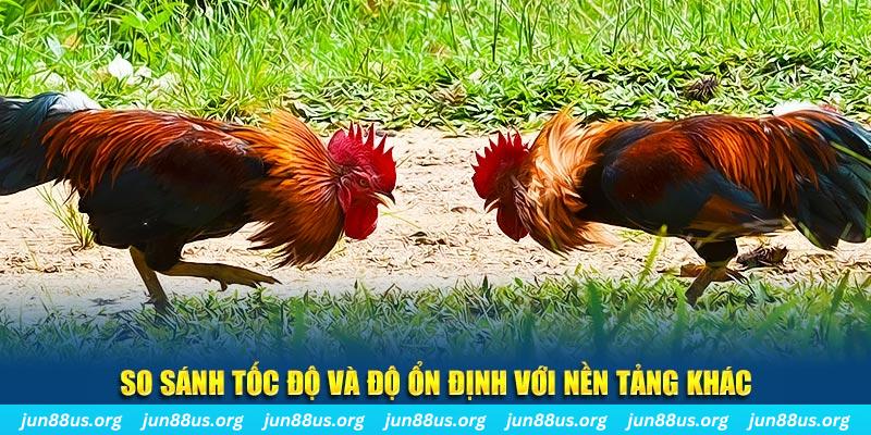 xsmb đá gà hôm nay