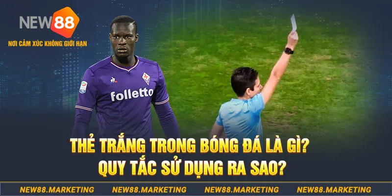 xsmb gà chọi mộc hóa