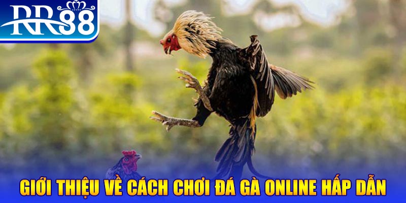 xsmb game nổ hũ rút tiền mặt là gì
