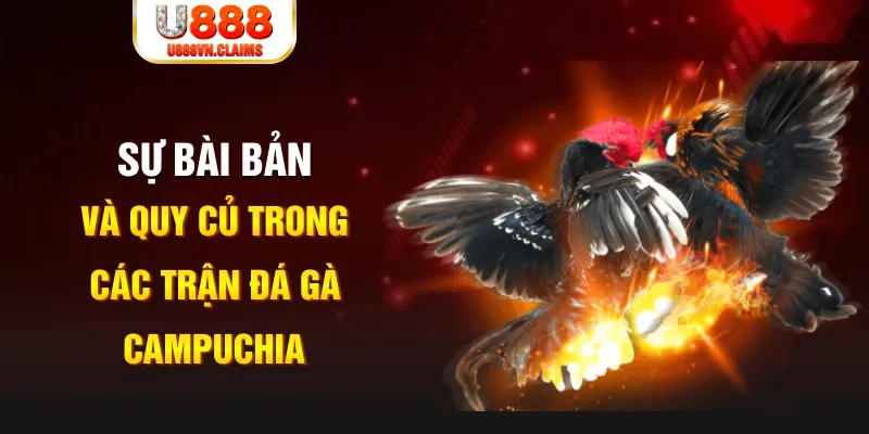 xsmb YGR Điện Tử