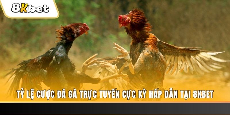 xsmb đăng nhập phỏm trực tiếp