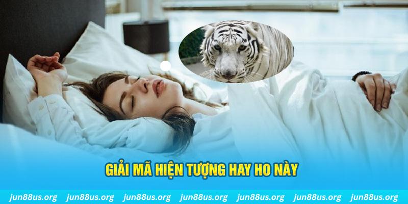 xsmb đăng nhập nổ hũ uy tín