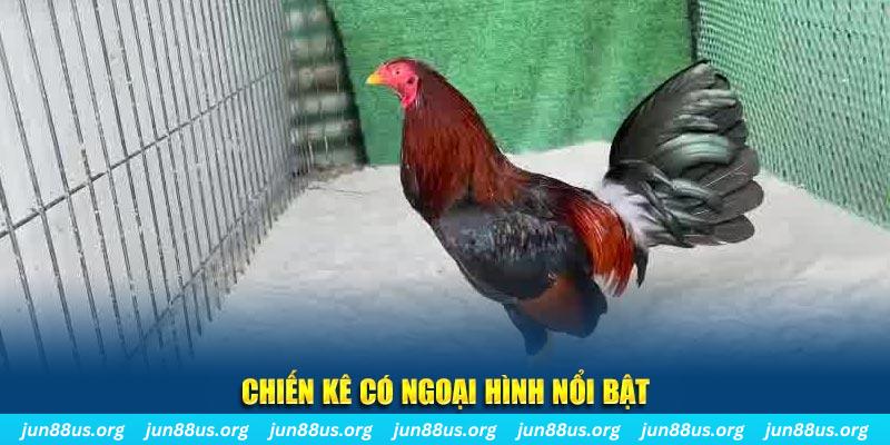 xsmb chạy quảng cáo cho game bài bị phạt như thế nào